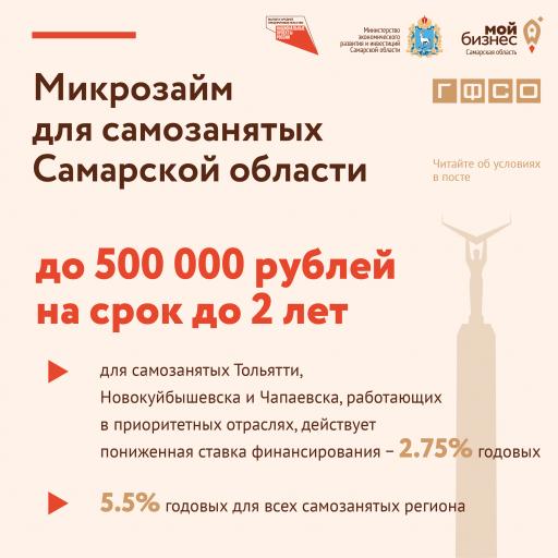 Микрозайм