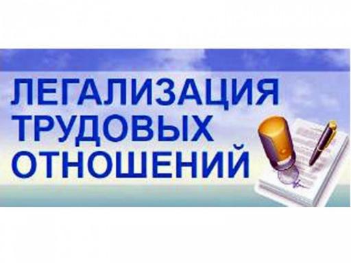 Легализуй трудовые отношения