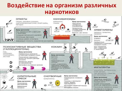 Воздействие на организм различных наркотиков