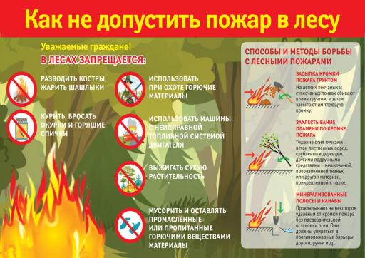 Памятка прибывания граждан в лесах
