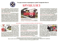 Бруцеллез