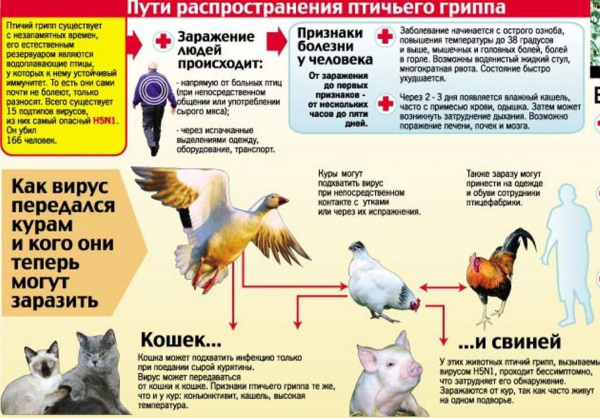 грипп