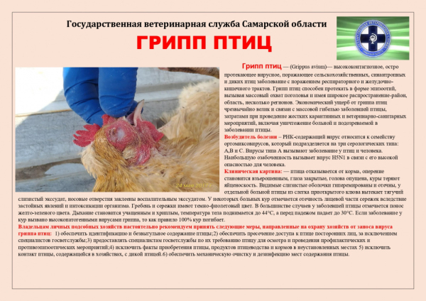 грипп