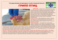 грипп