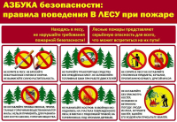 лес