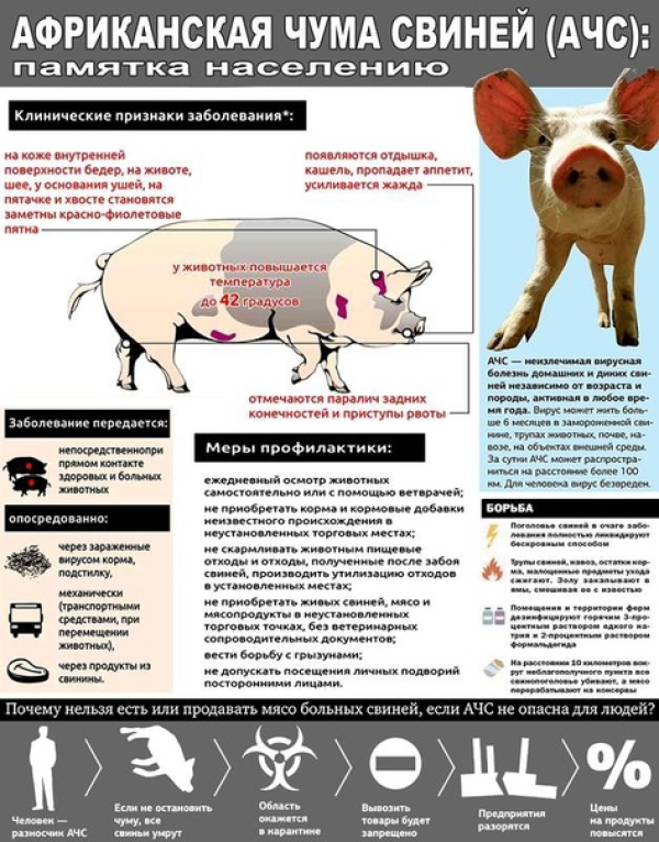 Вирусный гепатит Е