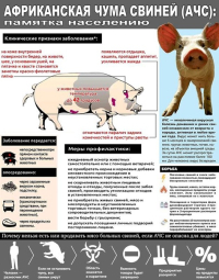 Вирусный гепатит Е