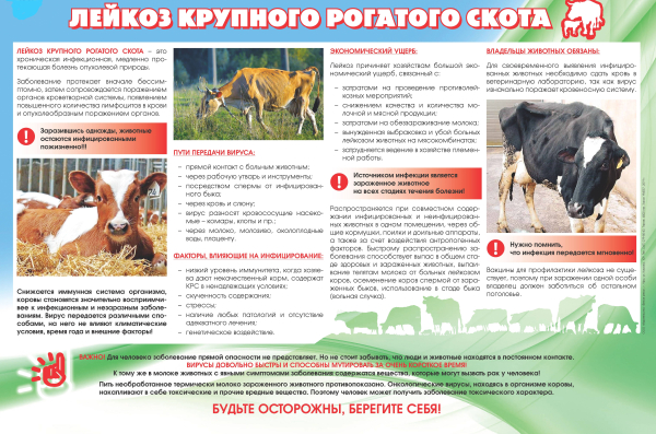 Лейкоз