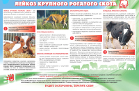 Лейкоз