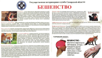 Бешенство