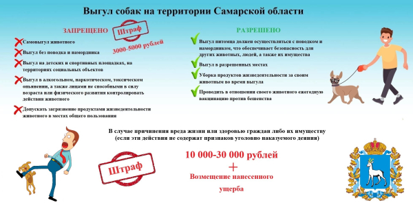 Выгул собак на территории Самарской области
