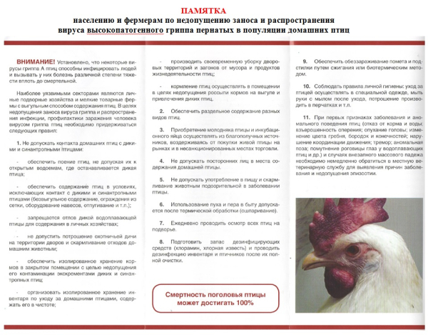 грипп